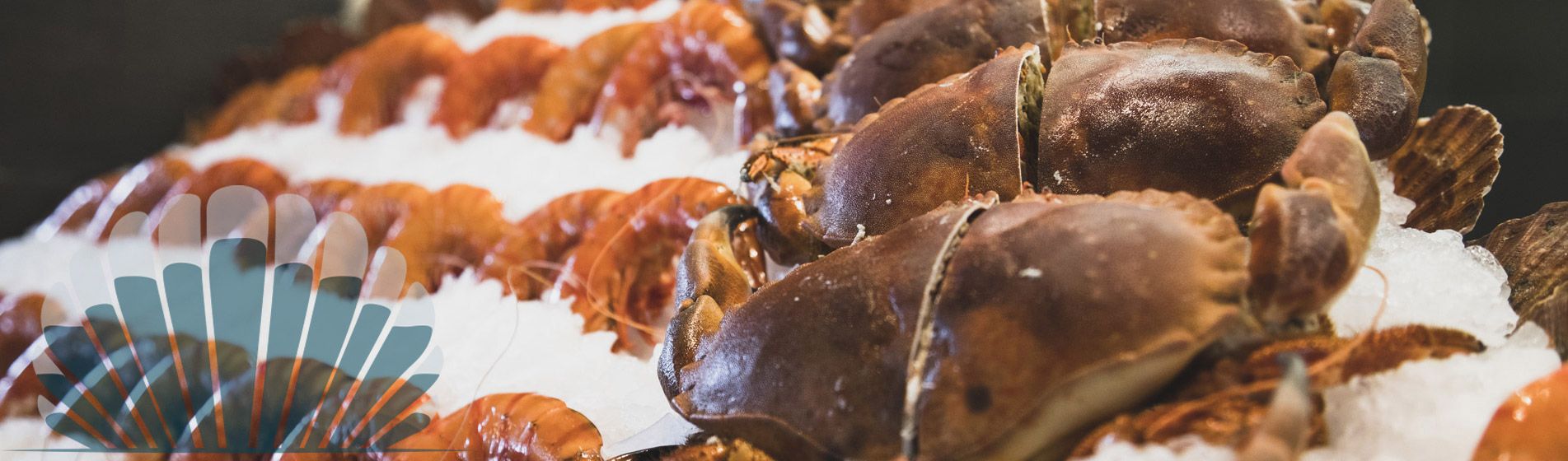 Acheter moule d'espagne