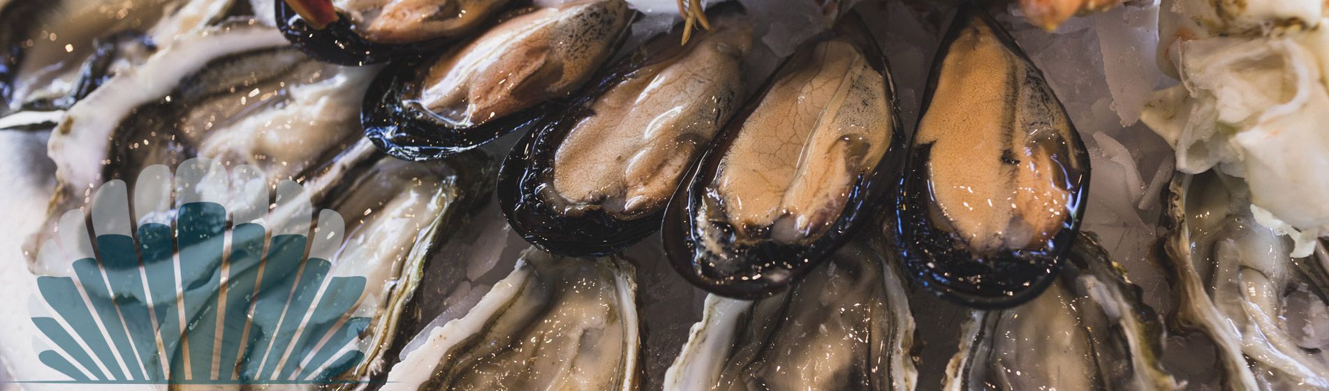 Acheter moule de qualite