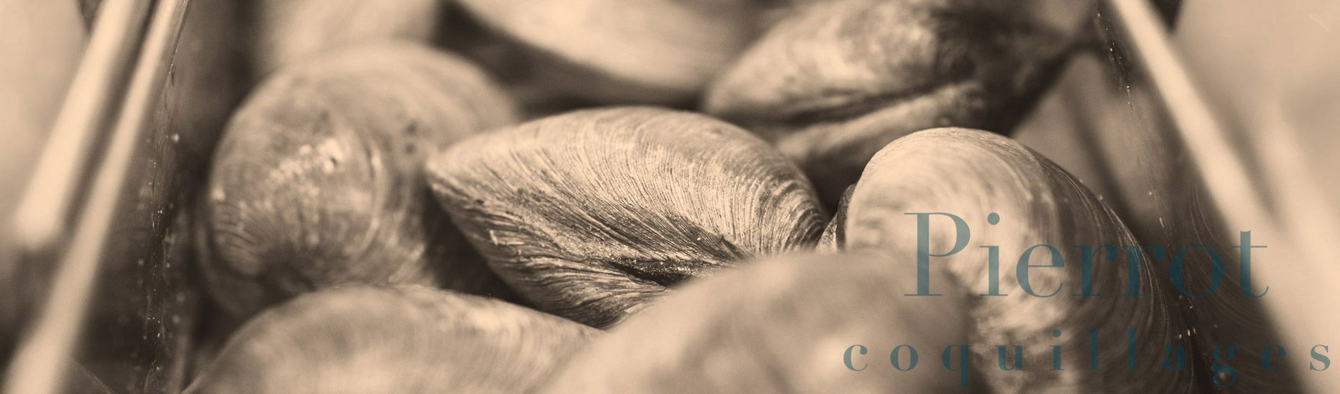 Acheter moule de qualite