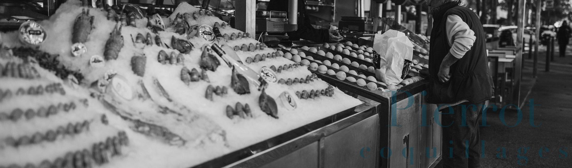 Acheter moule d'espagne