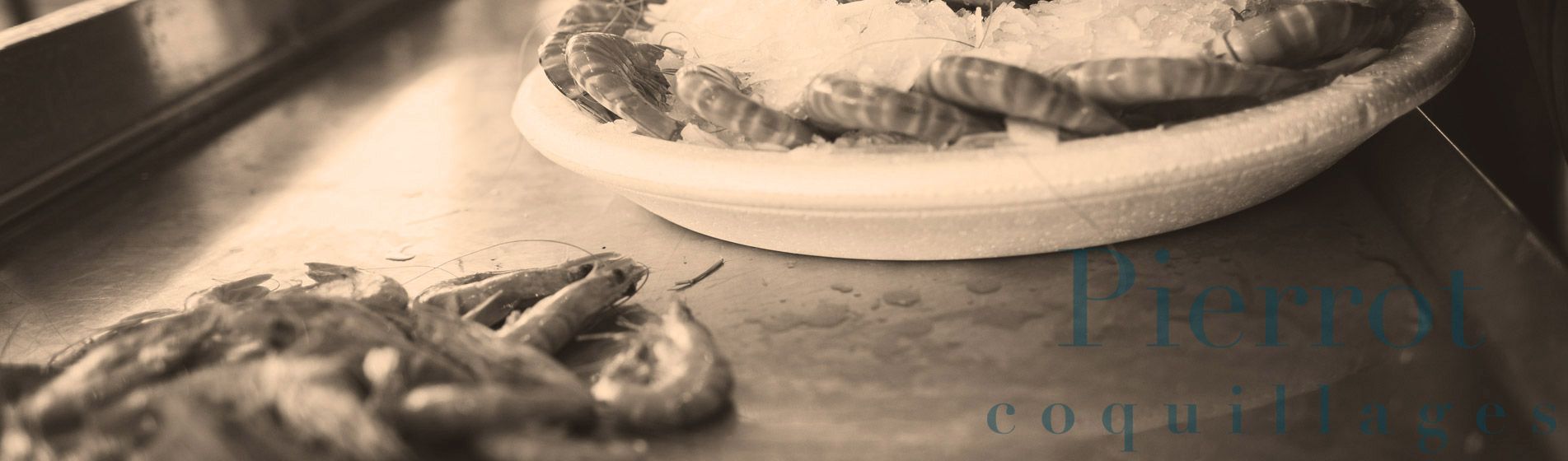 Livraison moule fraiche