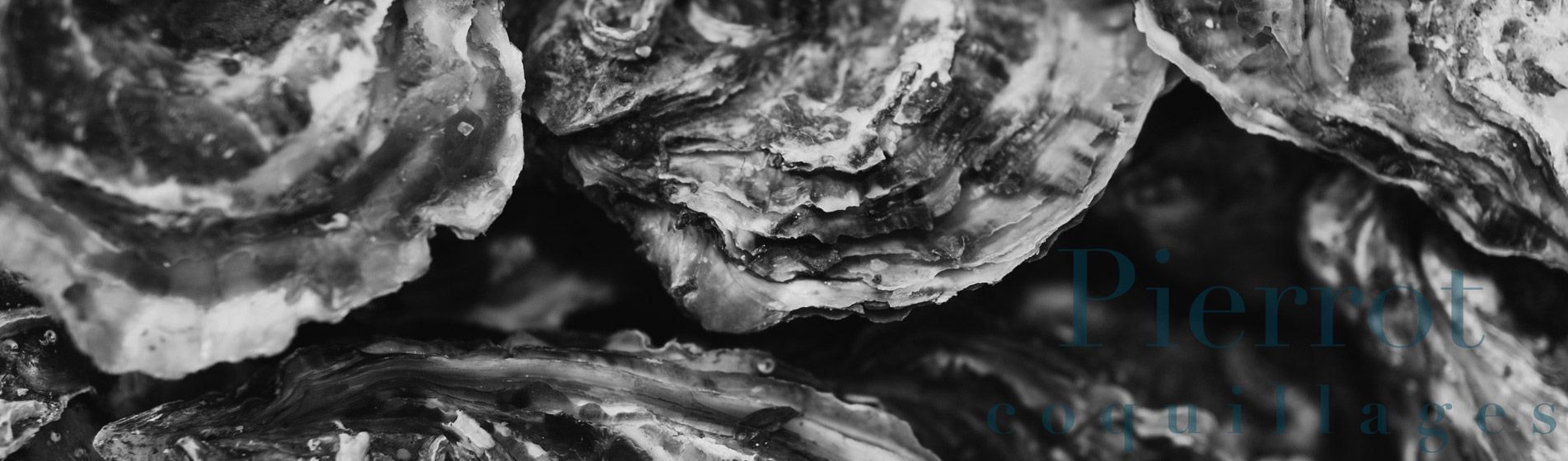 Acheter moule de qualite