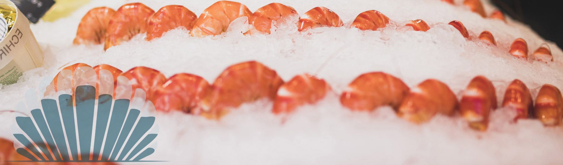 Acheter moule de qualite