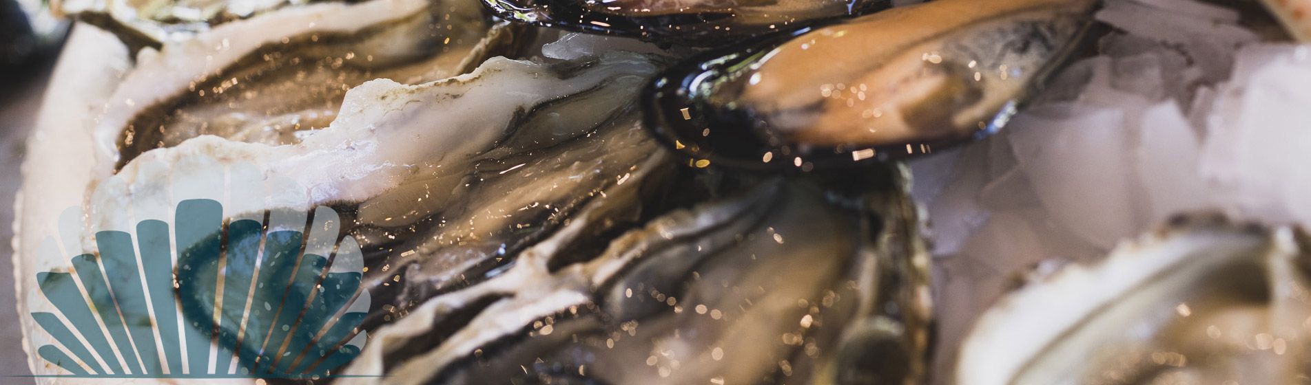 Acheter moule de qualite