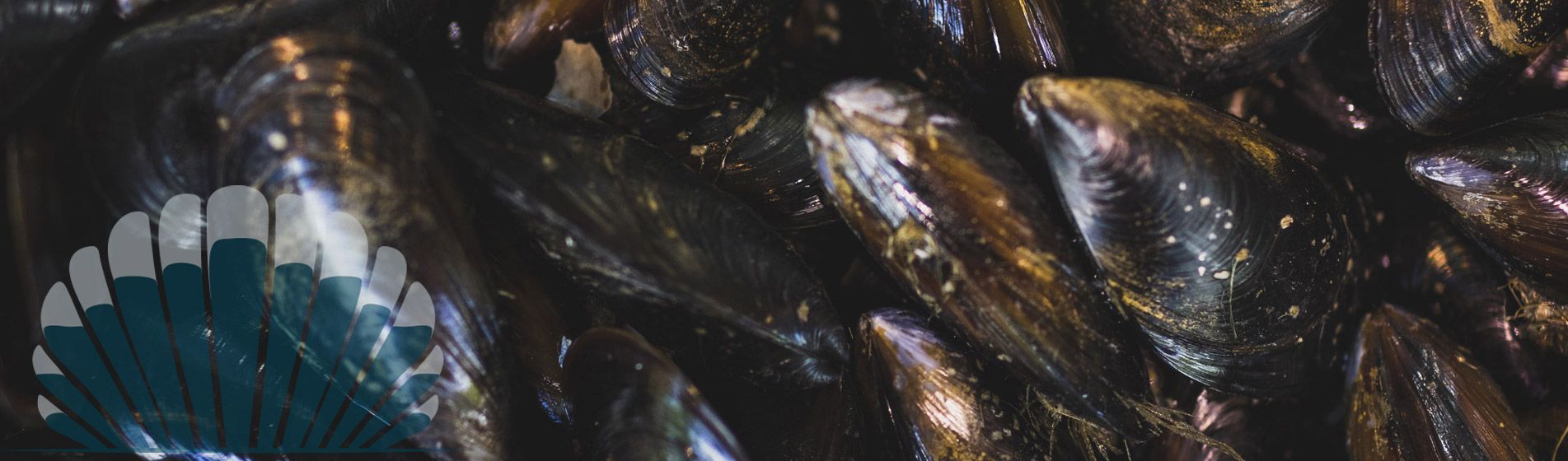 Moule Cadolive (13950)