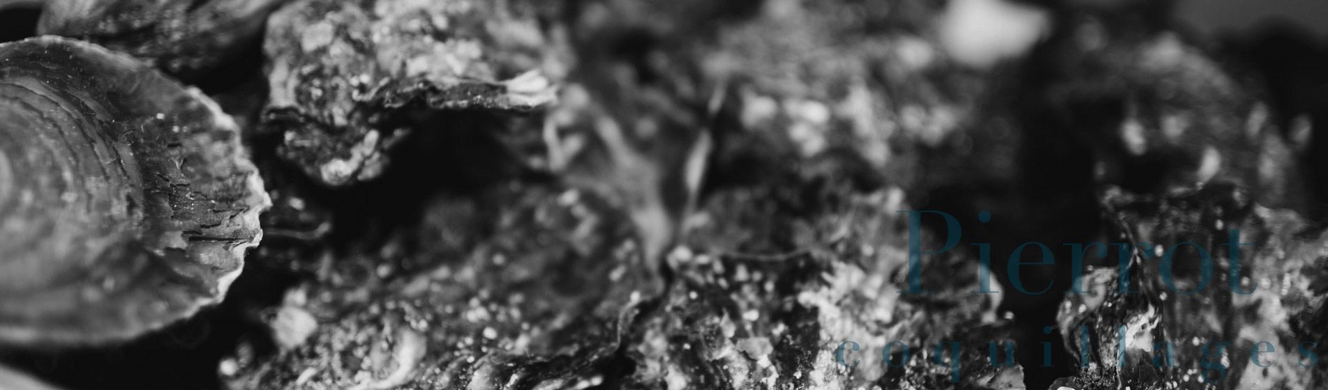 Acheter moule de qualite