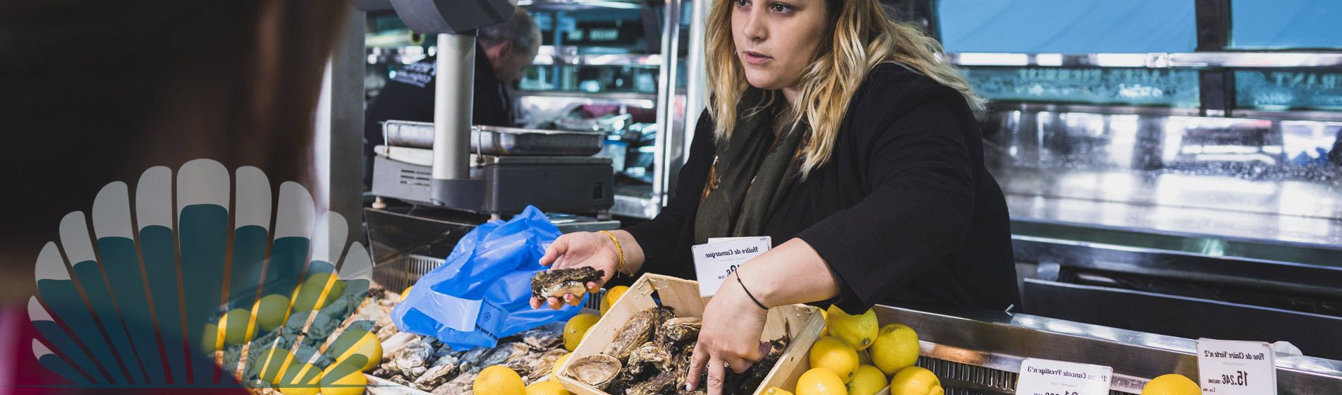 Acheter moule d'espagne