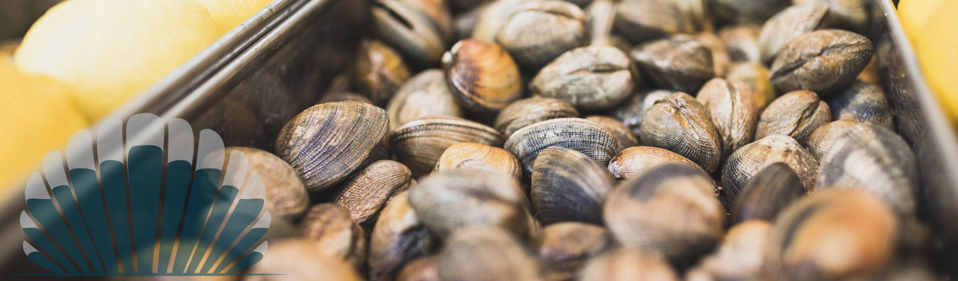 Livraison moule fraiche