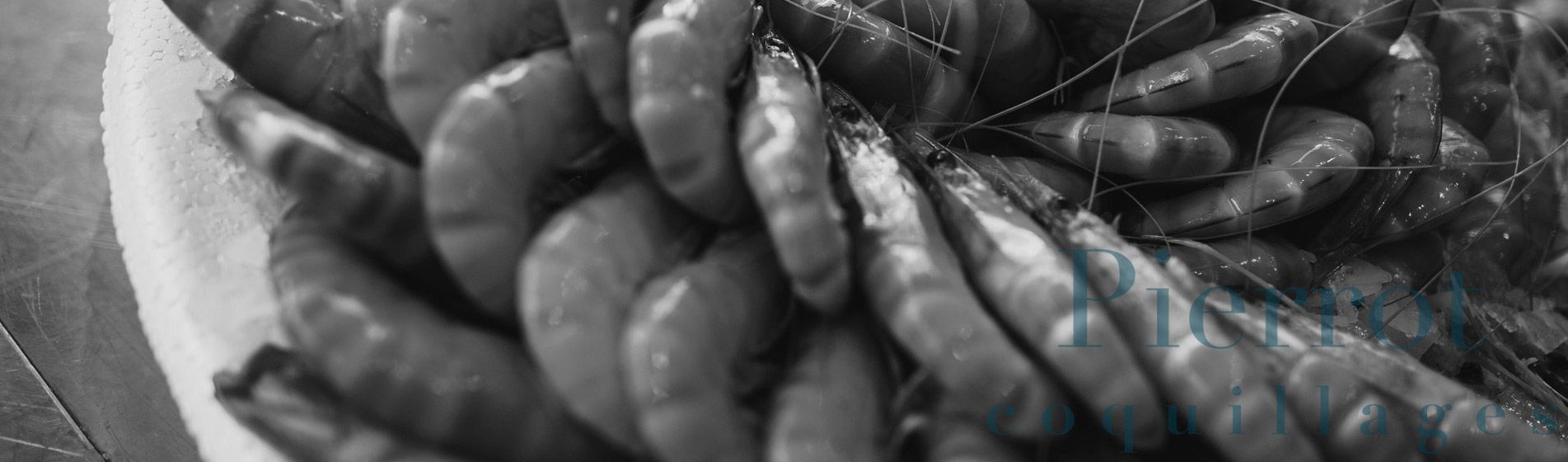 Livraison moule marinières Aubagne (13400)