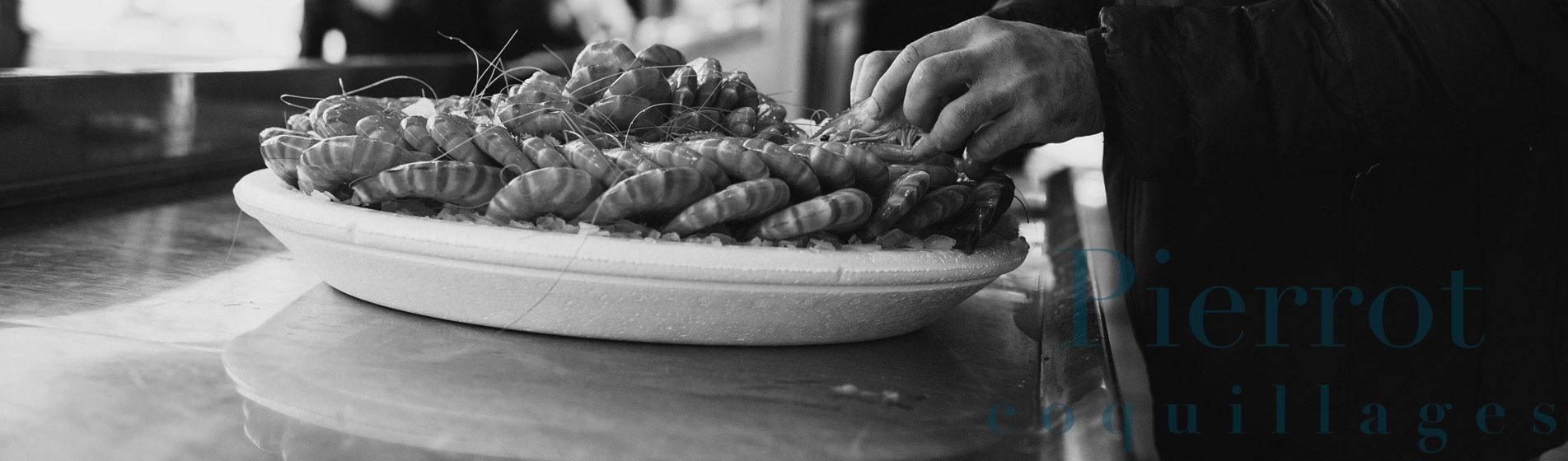 Livraison moule fraiche