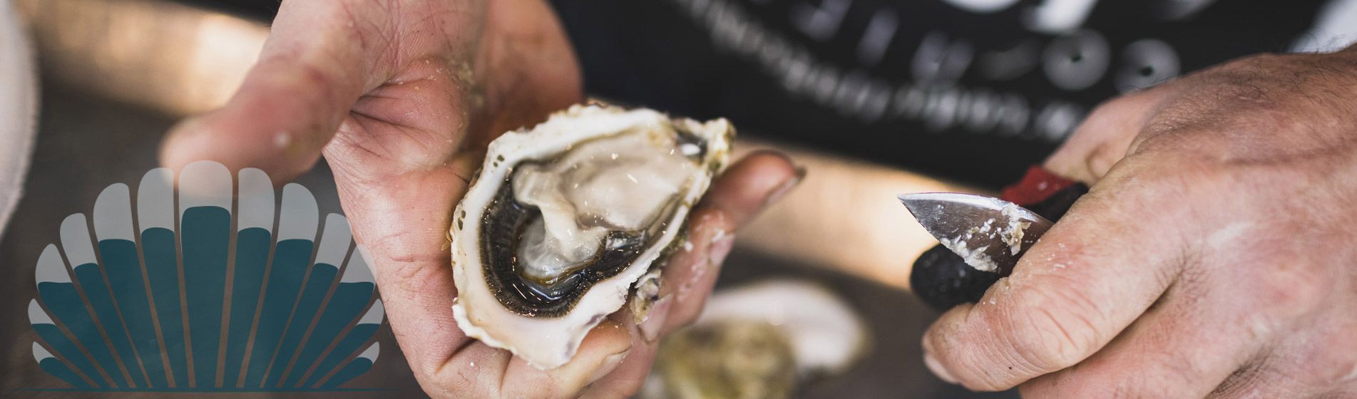 Acheter moule d'espagne