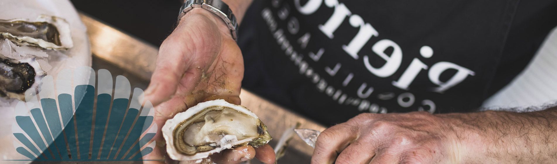 Acheter moule d'espagne