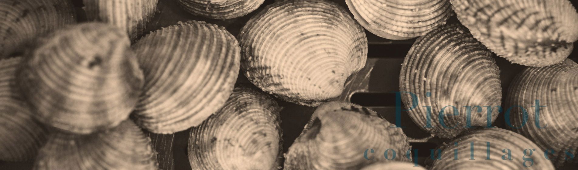 Commander poutargue fraiche