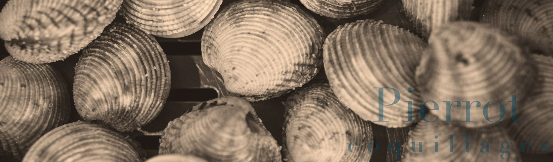 Commander poutargue fraiche