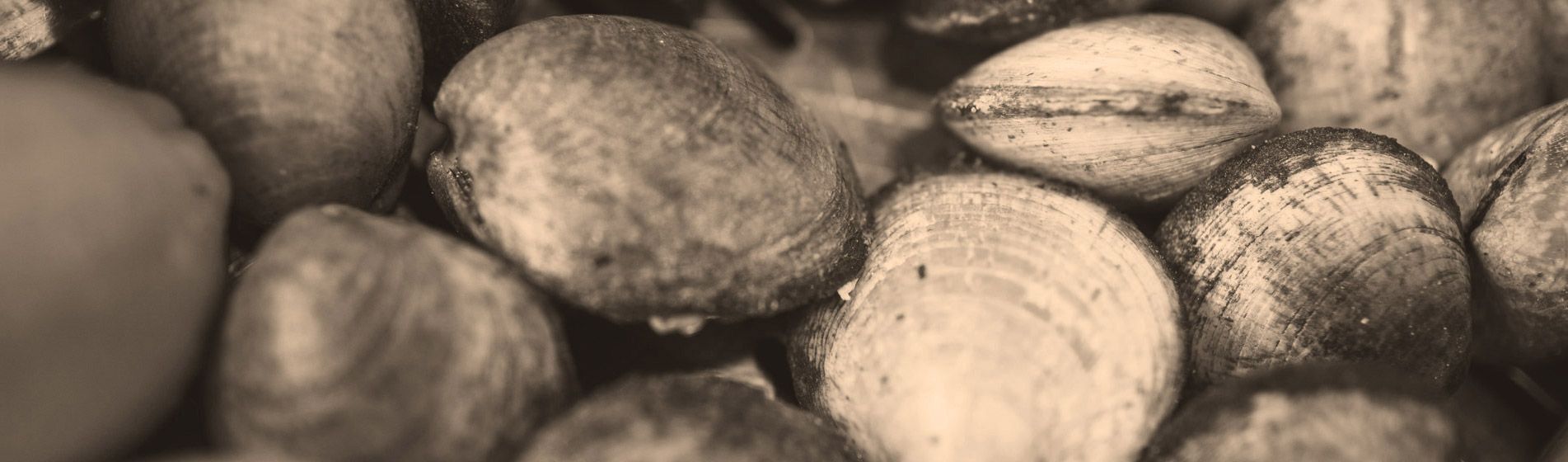 Prix tourteau de qualite Ceyreste (13600)