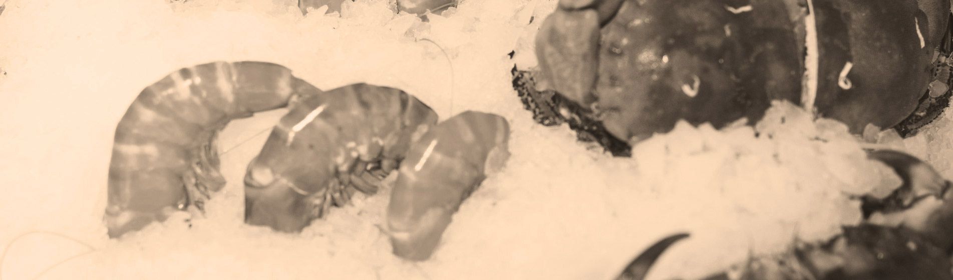 Acheter tourteau frais