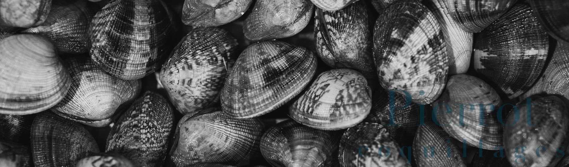 Prix tourteau de qualite