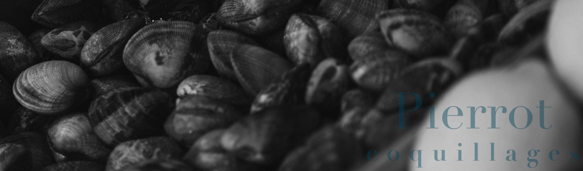 Prix tourteau de qualite