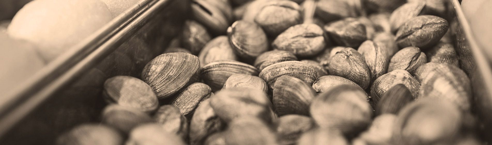 Acheter tourteau frais Cadolive (13950)