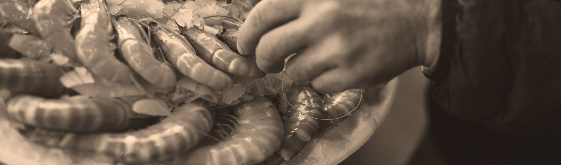 Prix tourteau de qualite