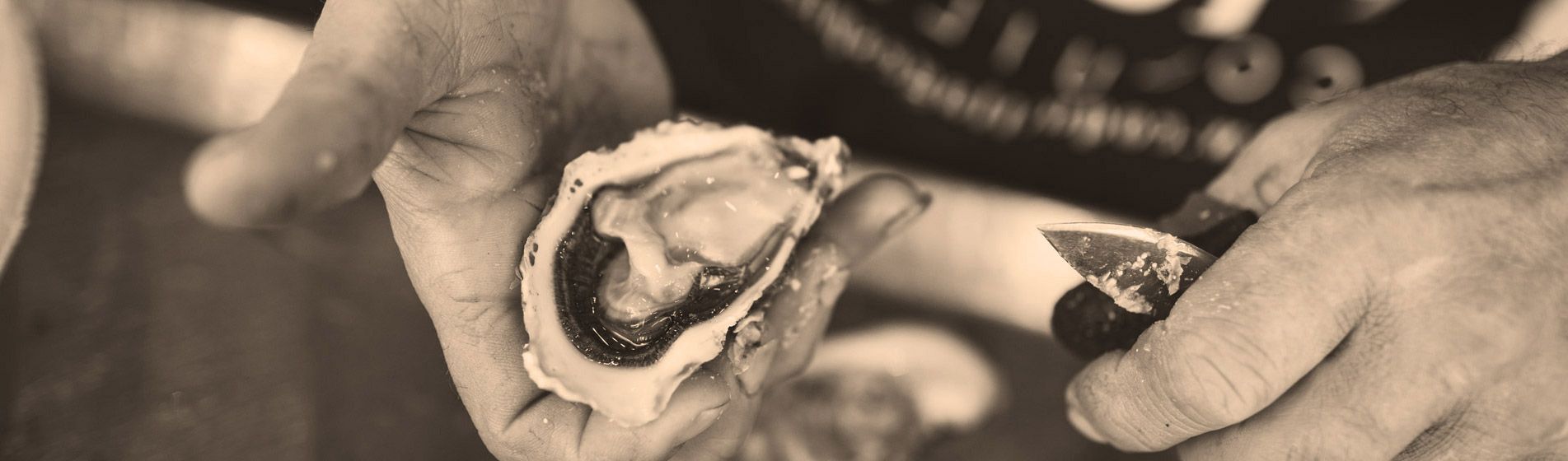 Acheter tourteau frais