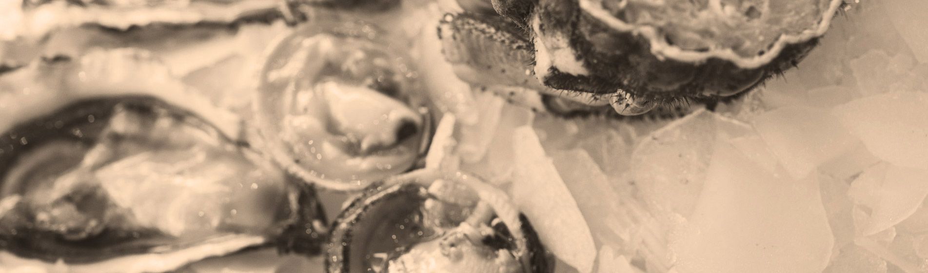 Tourteau Saint-Savournin (13119)