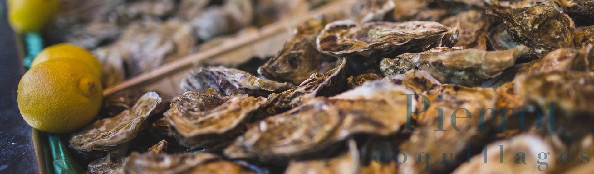 Acheter tourteau frais