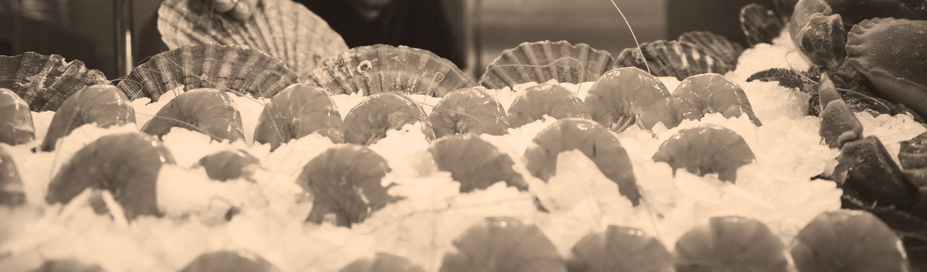 Prix tourteau de qualite