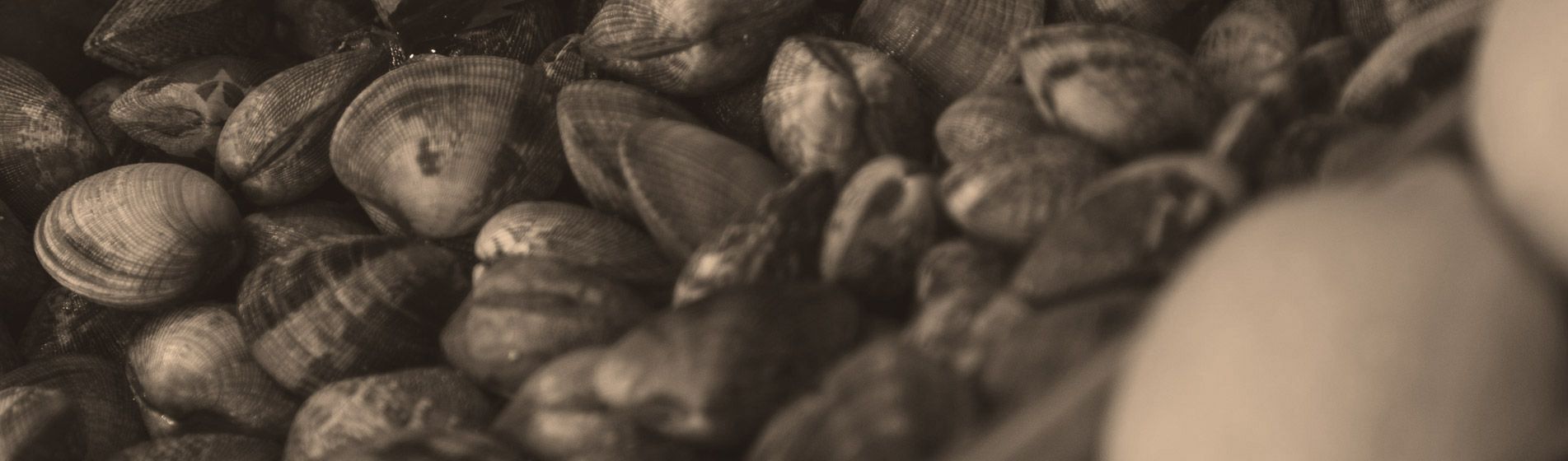 Acheter tourteau frais