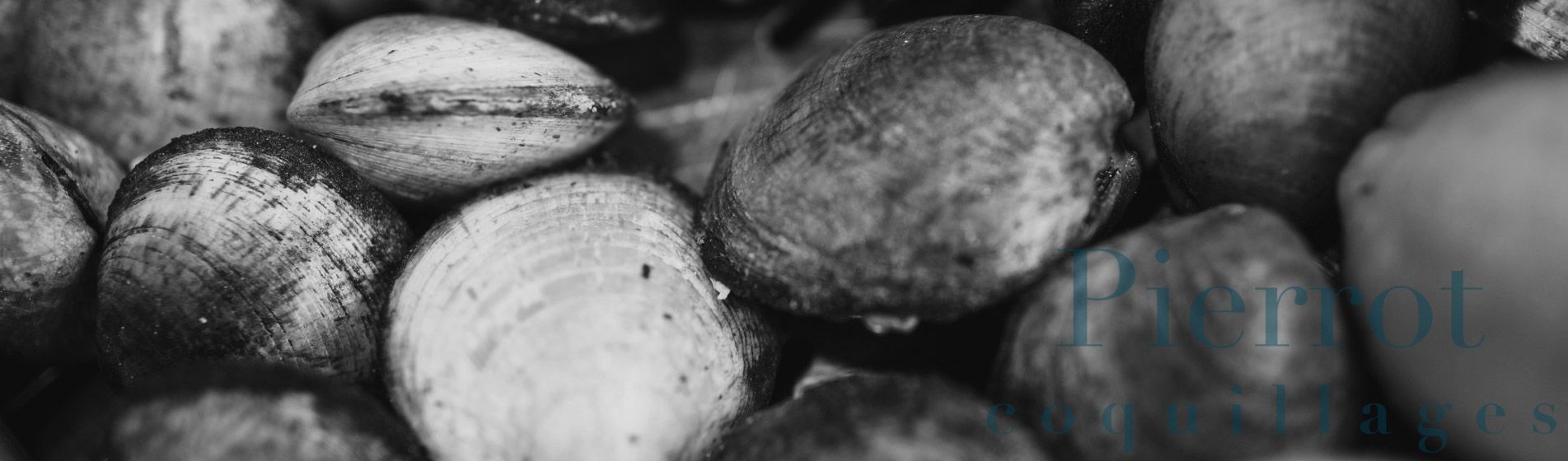 Prix tourteau de qualite Cadolive (13950)