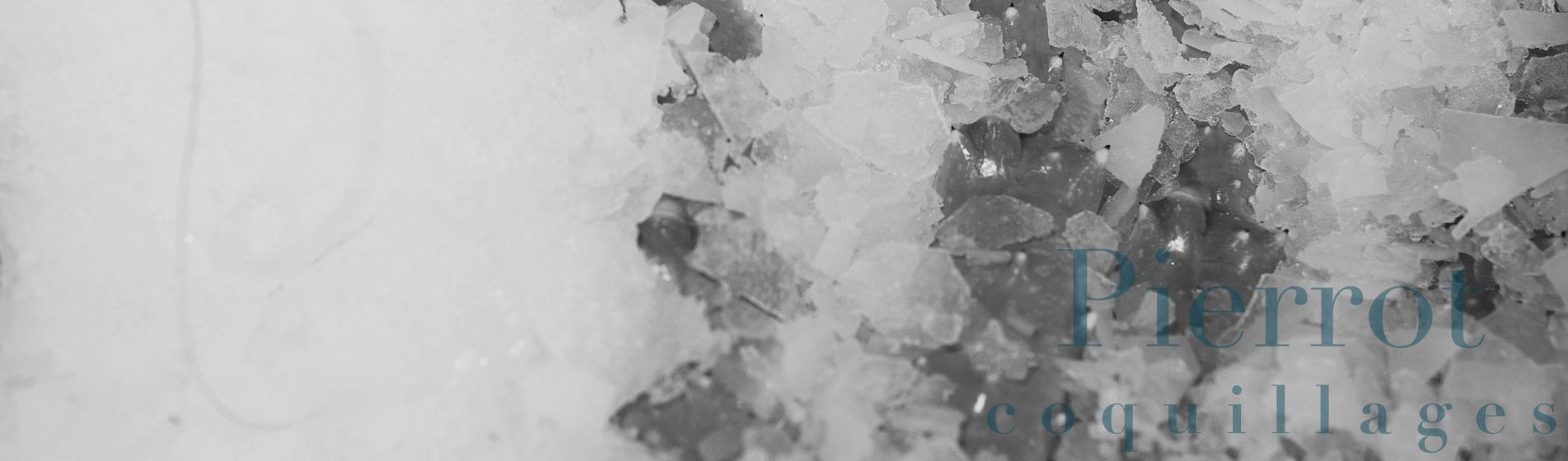 Acheter tourteau frais