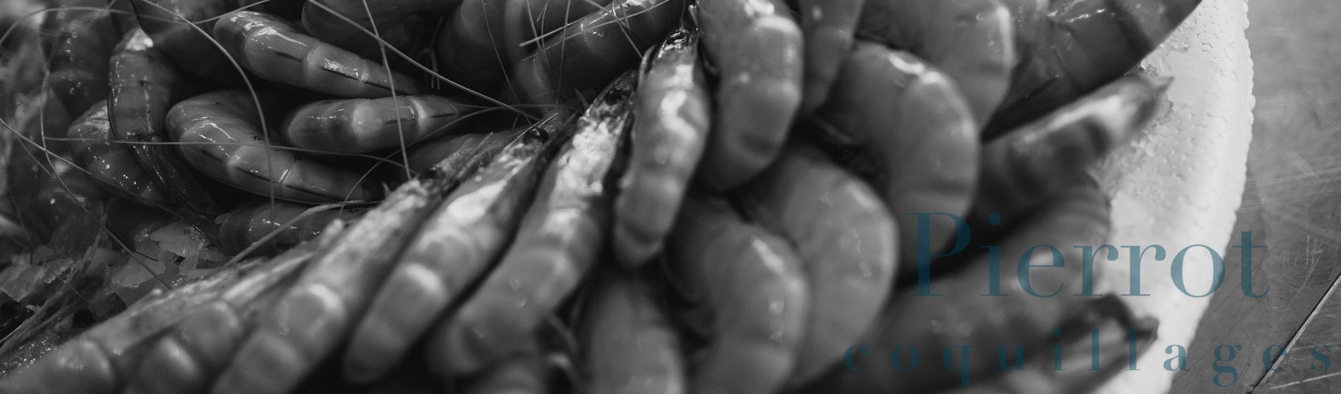 Acheter tourteau frais La Ciotat (13600)