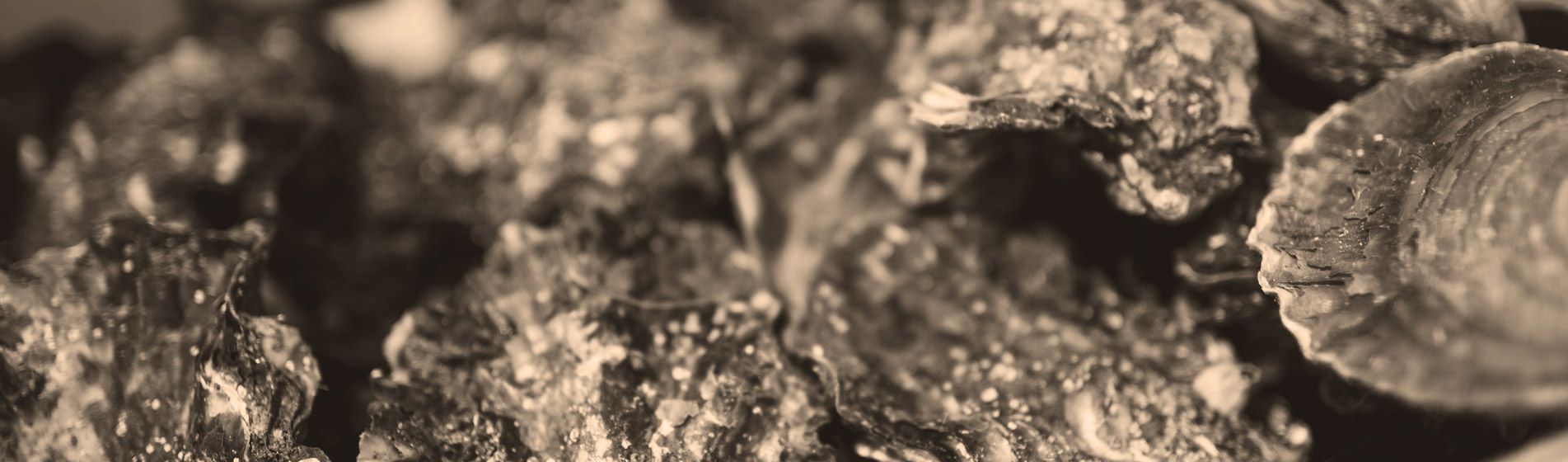 Acheter tourteau frais La Bouilladisse (13720)