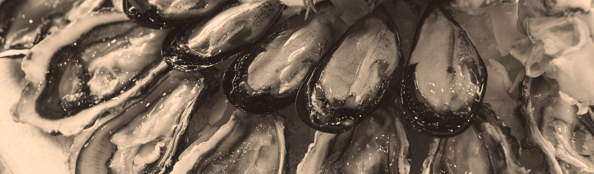 Tourteau Gignac-La-Nerthe (13180)