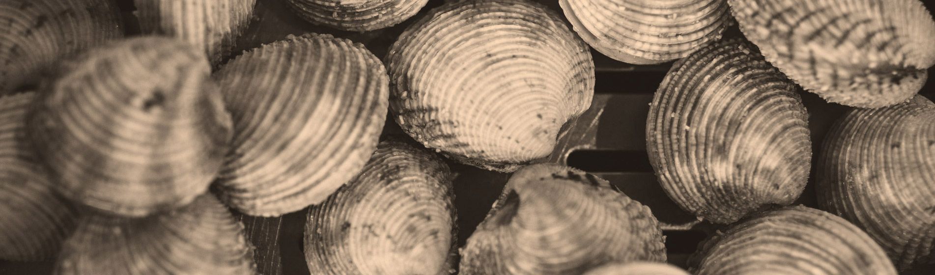 Prix tourteau de qualite