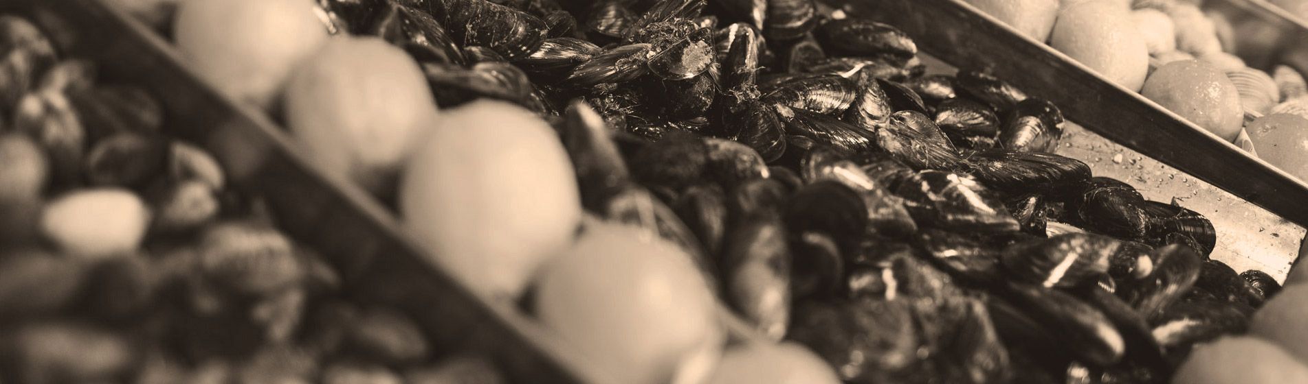 Acheter tourteau frais