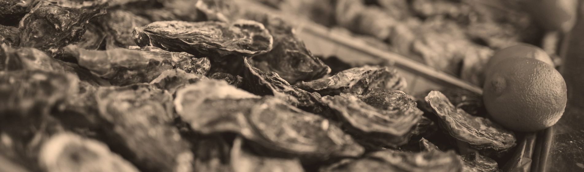 Prix tourteau de qualite