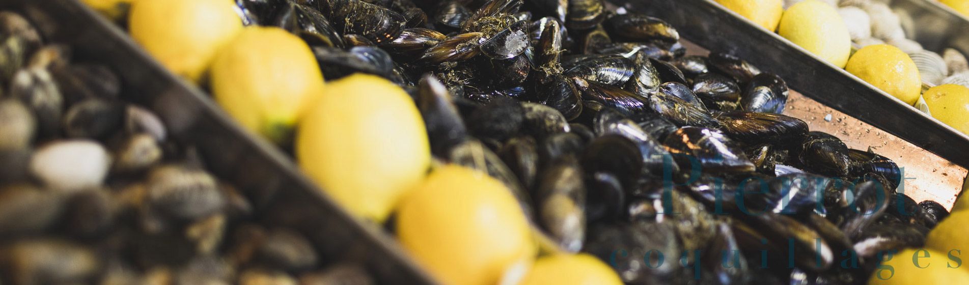 Acheter tourteau frais