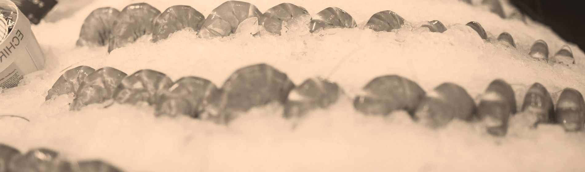 Prix tourteau de qualite