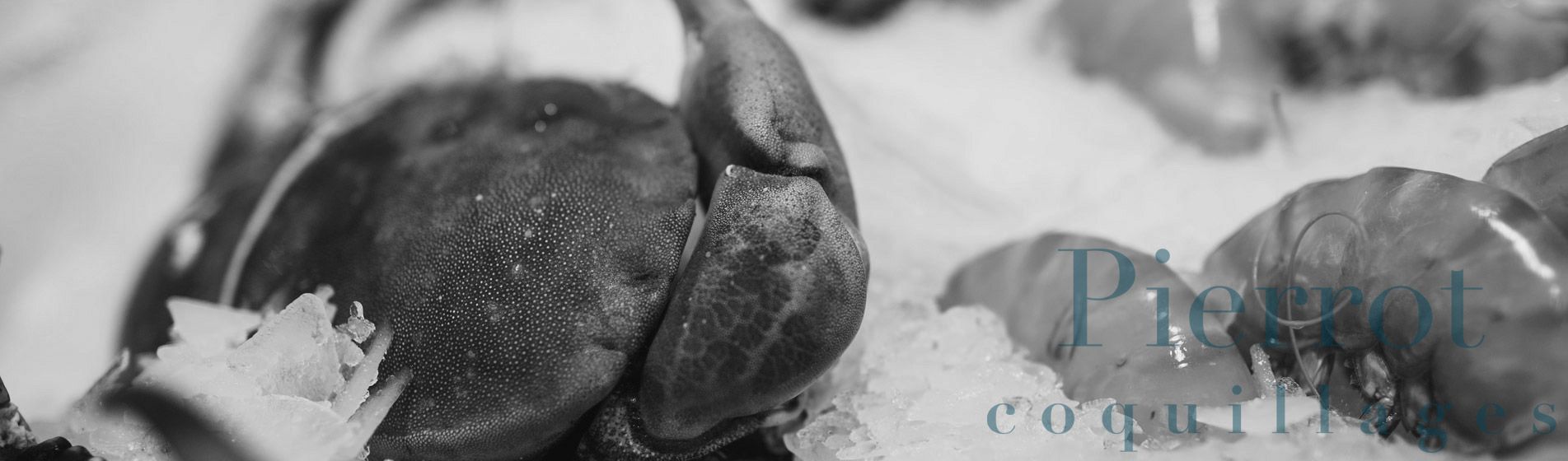 Acheter tourteau frais