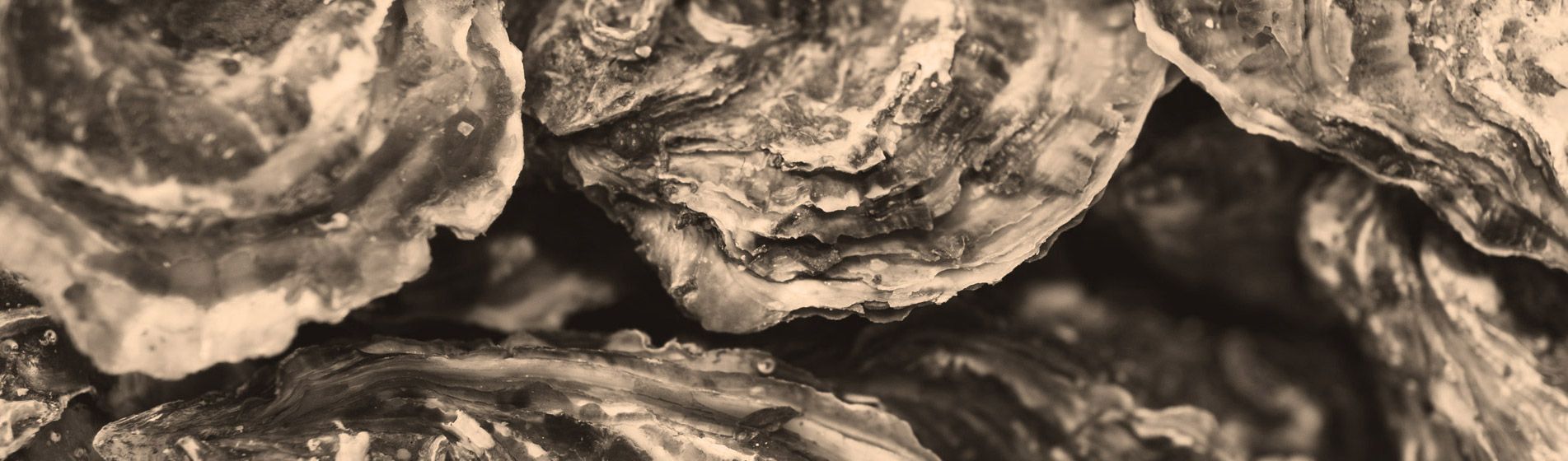 Acheter tourteau frais