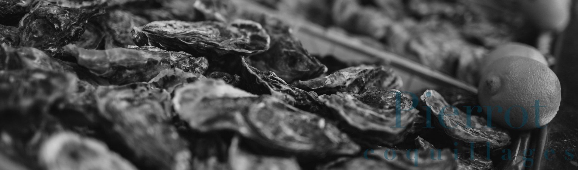 Acheter tourteau frais