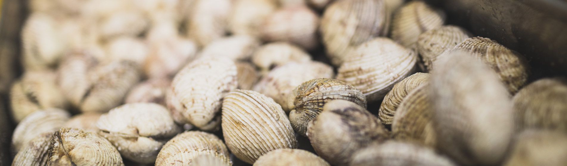 Restaurant poisson proximite