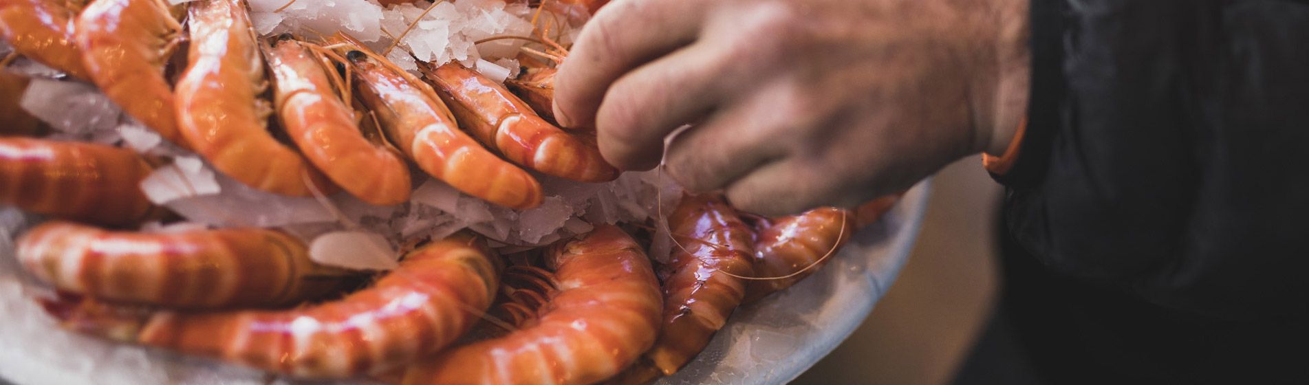 Poisson Gardanne (13120)