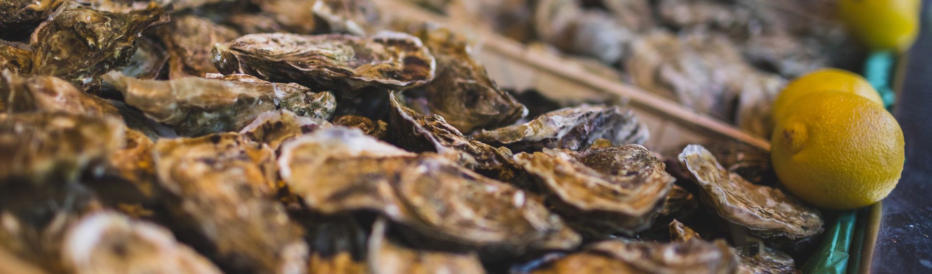 Restaurant poisson proximite