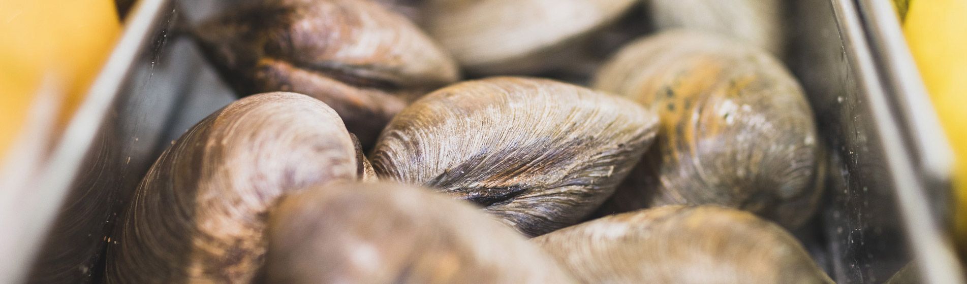 Restaurant poisson ouvert dimanche