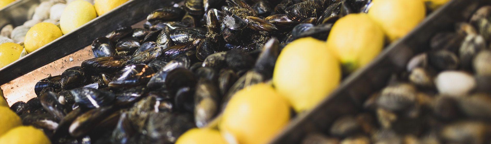 Restaurant poisson proximite