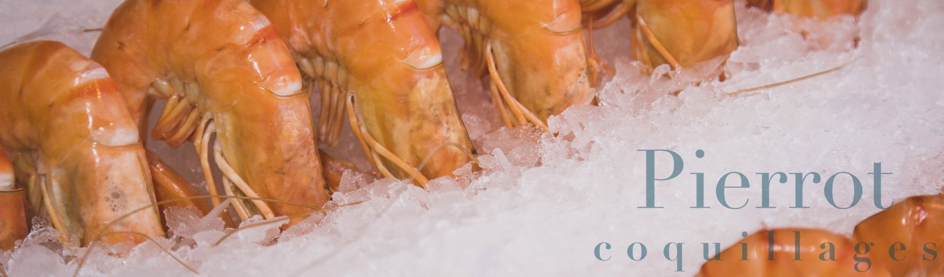 Resto coquillage ouvert dimanche