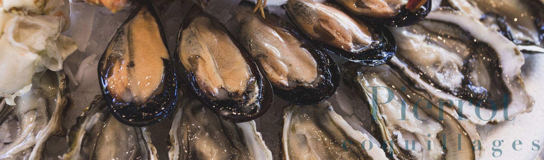 Resto coquillage ouvert dimanche