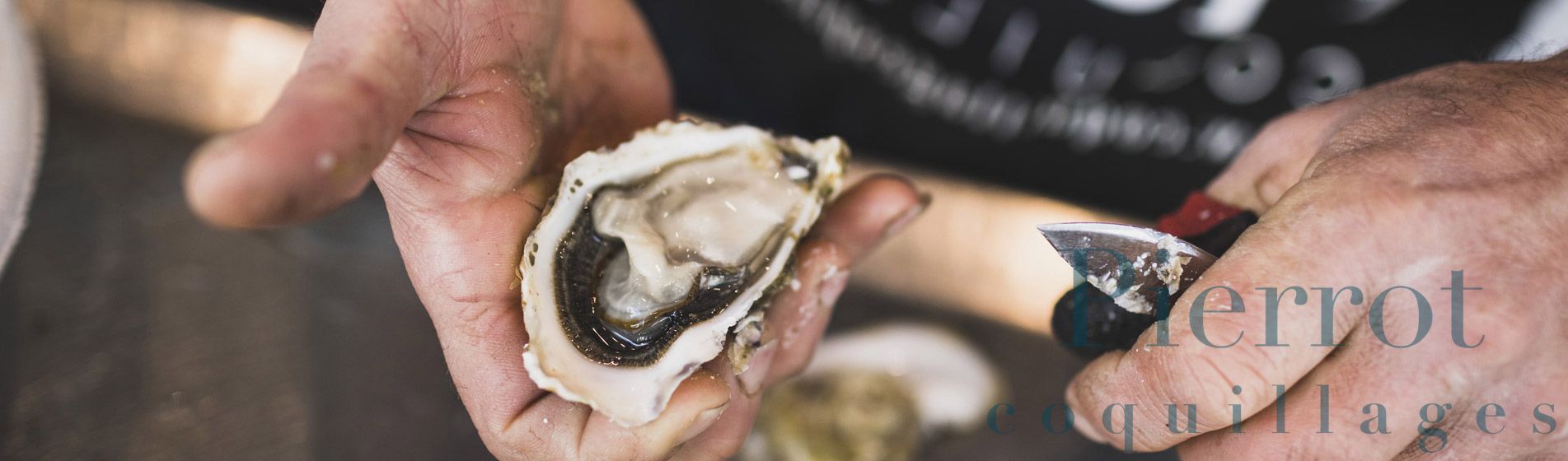 Restaurant coquillage ouvert dimanche